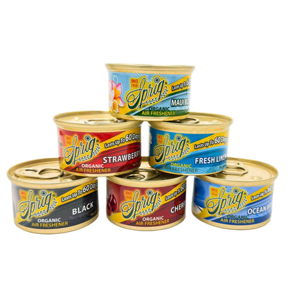 SPRING® | AIR FRESHENER GEL CAN – Box of 12 Air Freshener LEHIGH WHOLESALE