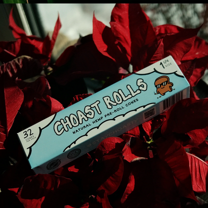Choast Rolls | 32 Pack Bulk Hemp Cones 1 1/4 | Made in France Pre-rolled Cone (Display Pack) Choast